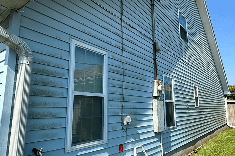 Before Image