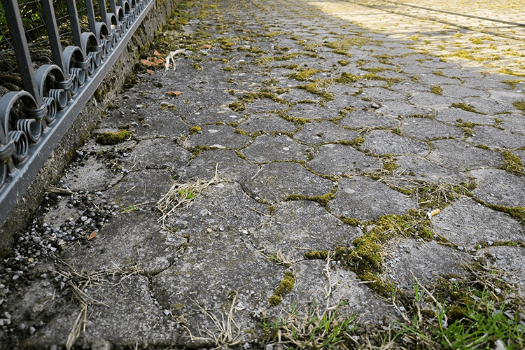 Before Image