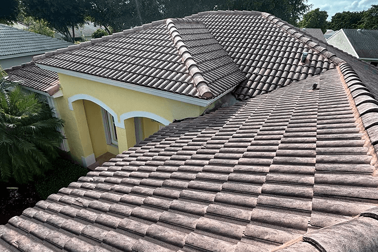 Before Image